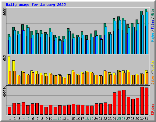 Daily usage for January 2025