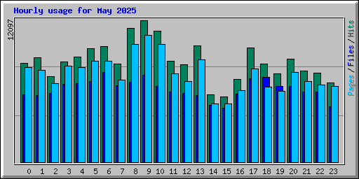 Hourly usage for May 2025