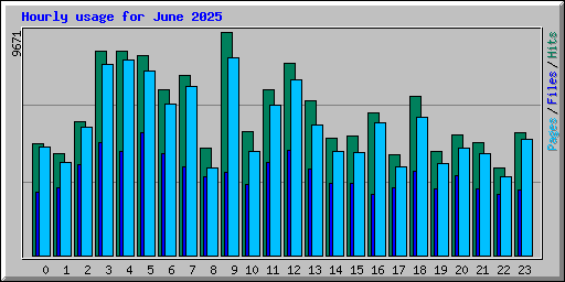 Hourly usage for June 2025