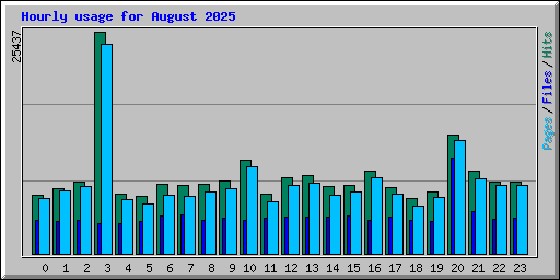 Hourly usage for August 2025