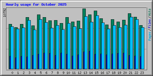 Hourly usage for October 2025
