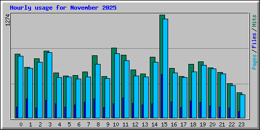 Hourly usage for November 2025