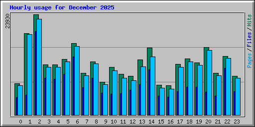 Hourly usage for December 2025