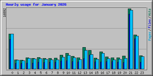 Hourly usage for January 2026
