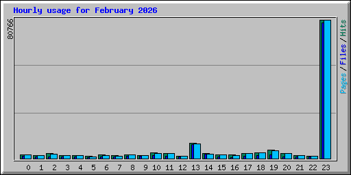 Hourly usage for February 2026